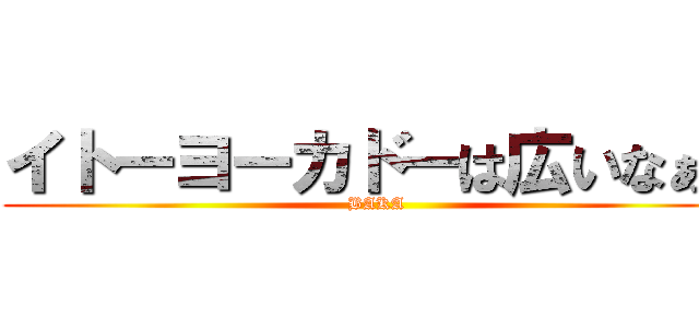 イトーヨーカドーは広いなぁ。 (BAKA)