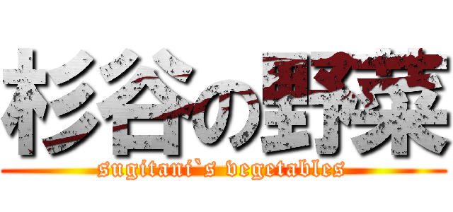 杉谷の野菜 (sugitani`s vegetables)