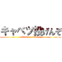 キャベツ投げんぞ (attack on cabbage)