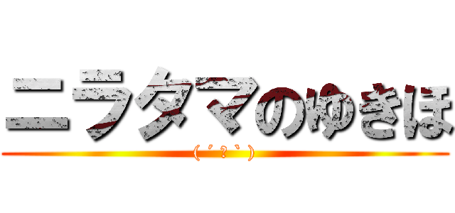 ニラタマのゆきほ (( ´ ▽ ` ))