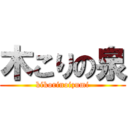 木こりの泉 (kikorinoizumi)