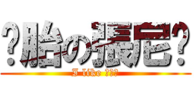 备胎の張尼玛 (I like 墩布棒)