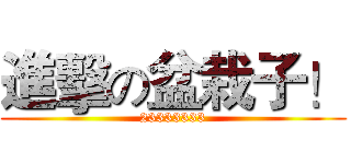 進擊の盆栽子！ (23333333)
