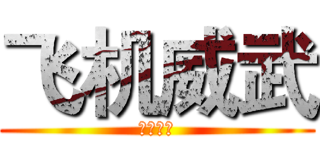 飞机威武 (你是基佬)