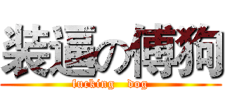 装逼の傅狗 (fucking   dog)