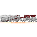 愛廖廖の阿果 (love Liao on fruit)