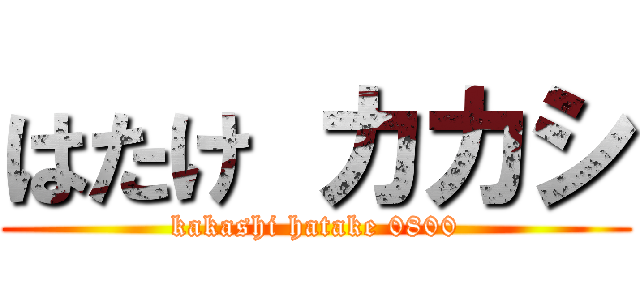 はたけ カカシ (kakashi hatake 0800)