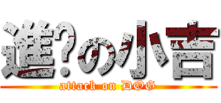 進擊の小吉 (attack on DOG)