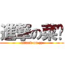 進撃の菜喳 (attack on zz)