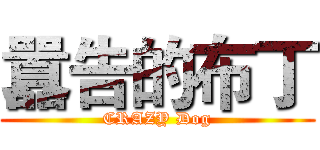 囂告的布丁 (CRAZY Dog)