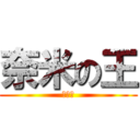 奈米の王 (陳柏豪)