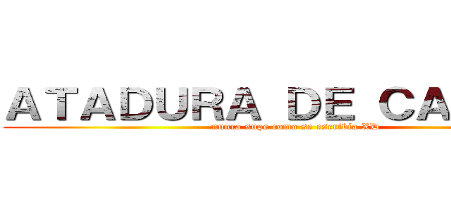 ＡＴＡＤＵＲＡ ＤＥ ＣＡＢＬＥＳ (nunca supe como se escribía XD)