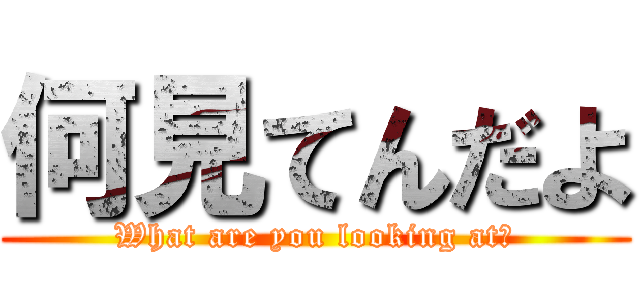 何見てんだよ (What are you looking at?)