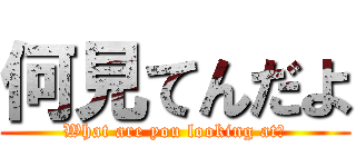 何見てんだよ (What are you looking at?)