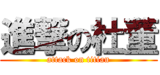 進撃の杜董 (attack on titian)