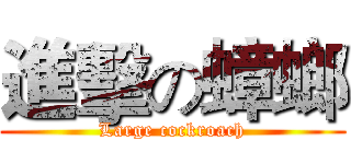 進擊の蟑螂 (Large cockroach)