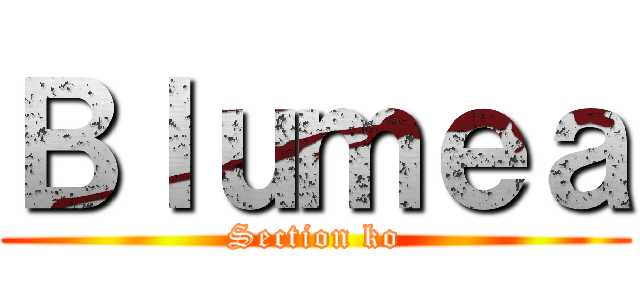 Ｂｌｕｍｅａ (Section ko)