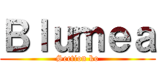 Ｂｌｕｍｅａ (Section ko)