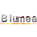 Ｂｌｕｍｅａ (Section ko)