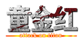 童金红 (attack on titan)