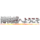 博物館へようこそ (attack on titan)