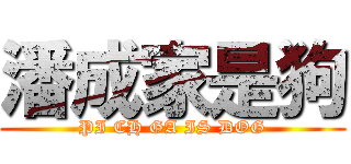 潘成家是狗 (PI CH GA IS DOG)