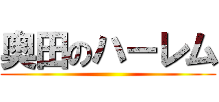 奥田のハーレム ()