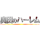 奥田のハーレム ()