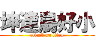 坤達鳥好小 (attack on titan)