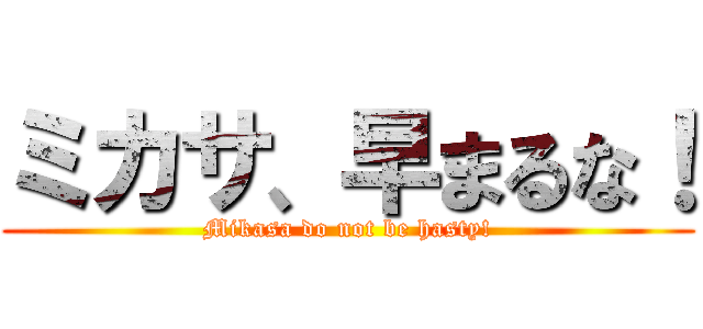 ミカサ、早まるな！ (Mikasa do not be hasty!)