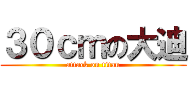 ３０ｃｍの大迪 (attack on titan)