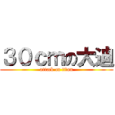 ３０ｃｍの大迪 (attack on titan)