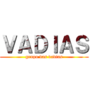 ＶＡＤＩＡＳ (grupo das vadias)