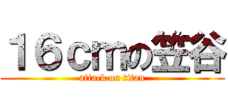 １６ｃｍの笠谷 (attack on titan)