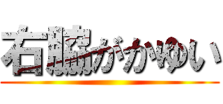 右脇がかゆい ()