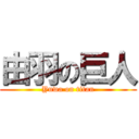 由羽の巨人 (Yuwa on titan)