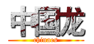 中国龙 (chinaes)
