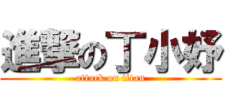進撃の丁小妤 (attack on titan)