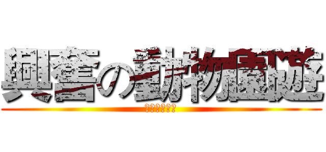 興奮の動物園遊 (圓仔出來面對)