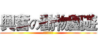 興奮の動物園遊 (圓仔出來面對)