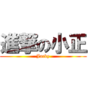 進撃の小正 (Jacky)