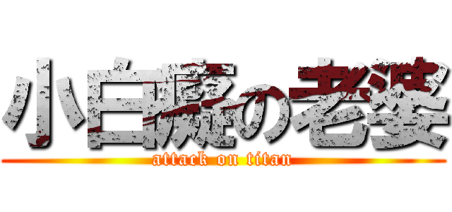 小白癡の老婆 (attack on titan)