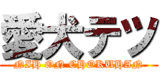 愛犬テツ (NIH ON CHOKUHAN)