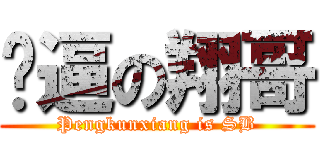 傻逼の翔哥 (Pengkunxiang is SB)