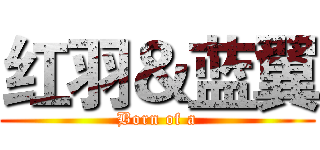 红羽＆蓝翼 (Born of a)
