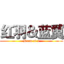 红羽＆蓝翼 (Born of a)