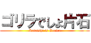 ゴリラでしょ片石 (Kataishi is Gorira)