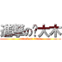 進撃の刚大木 (attack on titan)