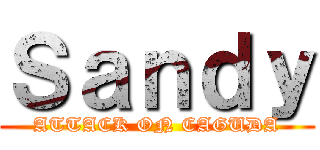 Ｓａｎｄｙ (ATTACK ON CAGUDA)