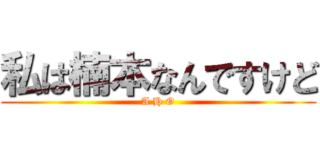 私は楠本なんですけど (A H O)